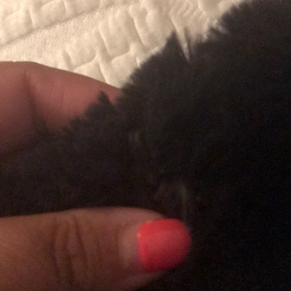 Jacket - Picture 5 of 6